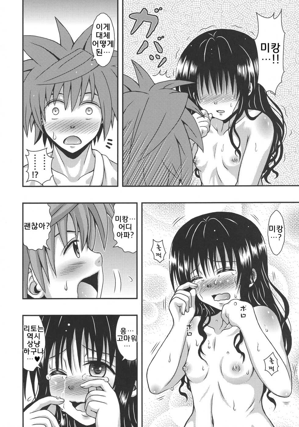 [E-10 Field (Etosei)] Orange Harem | 오렌지 하렘 (To LOVE-Ru) [Korean] [2014-11-10] - Page 10