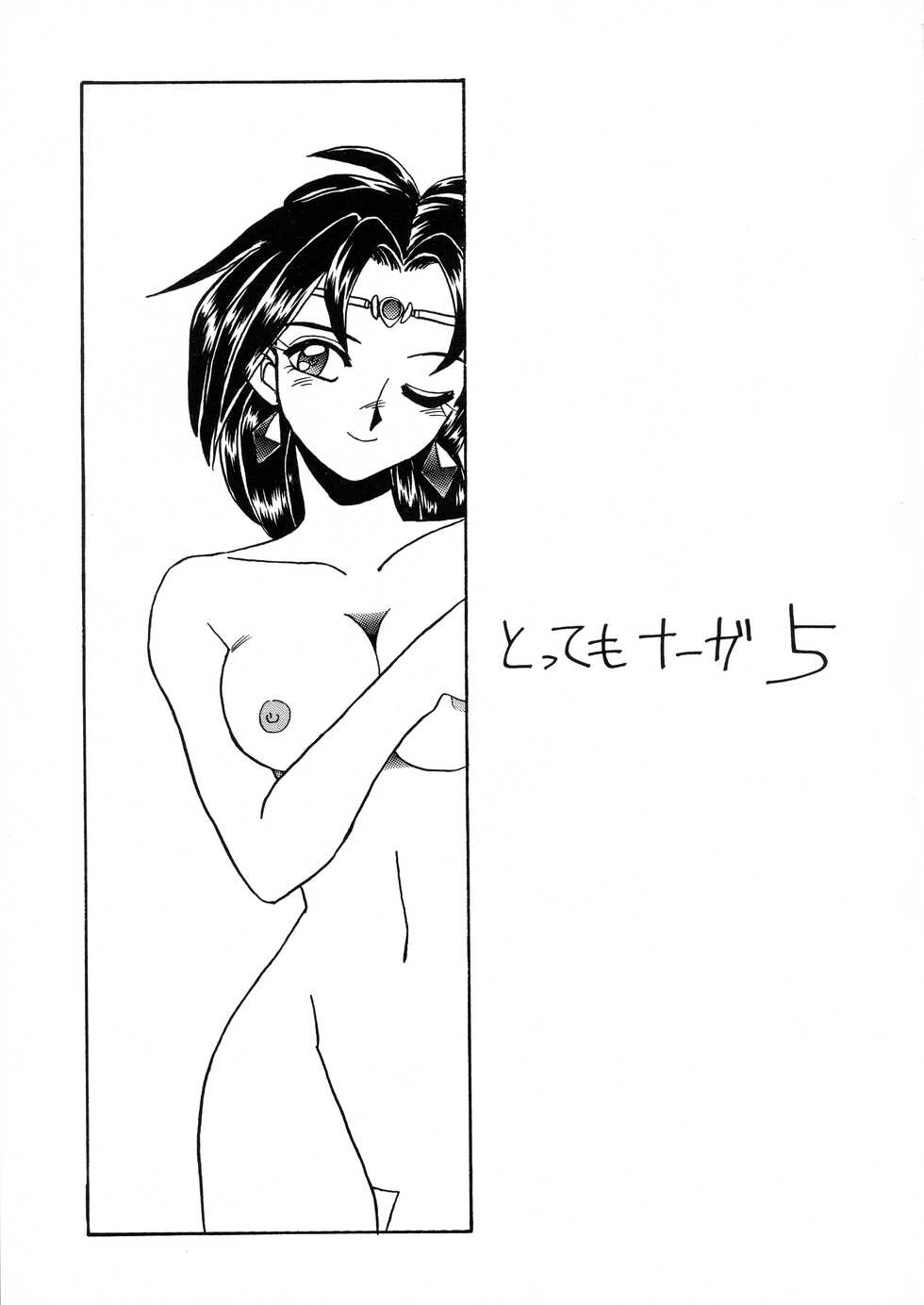 (C51) [Dress (Kawamura Kazuya)] Tottemo Naaga 5 (Slayers) - Page 3