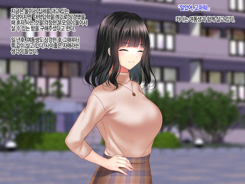 [Minamihamaya (Minamihama Yoriko)] Konyakusha no Imouto ni Semararete Haramaseta Kekka. | 약혼자의 여동생에게 유혹당해서 임신시켜버린 결과 [Korean] - Page 9