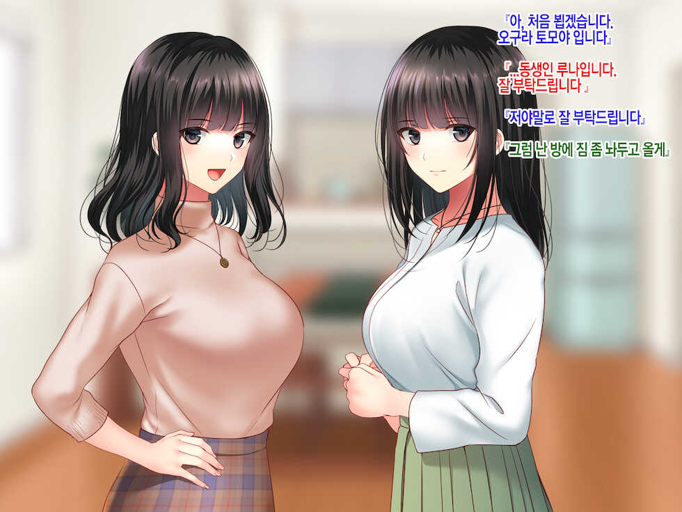 [Minamihamaya (Minamihama Yoriko)] Konyakusha no Imouto ni Semararete Haramaseta Kekka. | 약혼자의 여동생에게 유혹당해서 임신시켜버린 결과 [Korean] - Page 15