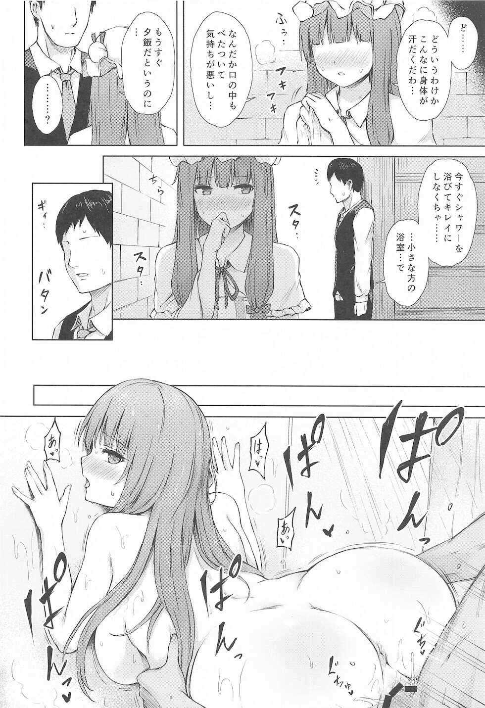 (Shuuki Reitaisai 8) [Tekomenchi (Techi)] Patchouli Knowledge Kaihatsu Kiroku II (Touhou Project) - Page 13