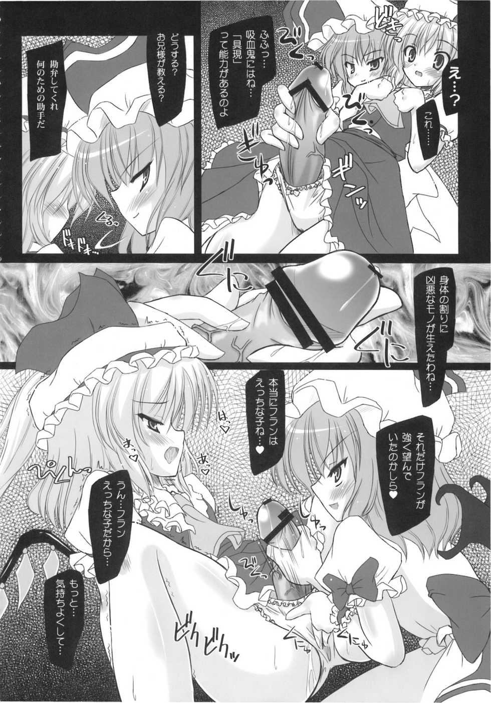 (C77) [Reborn (Various)] Ijou Keiken +2 (Touhou Project) - Page 14