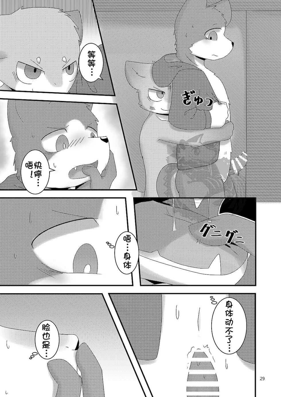 [Kokorotokarefu (sano)] TF Tanpenshuu 2 (Various) [Chinese] [日曜日汉化组] [Digital] - Page 29