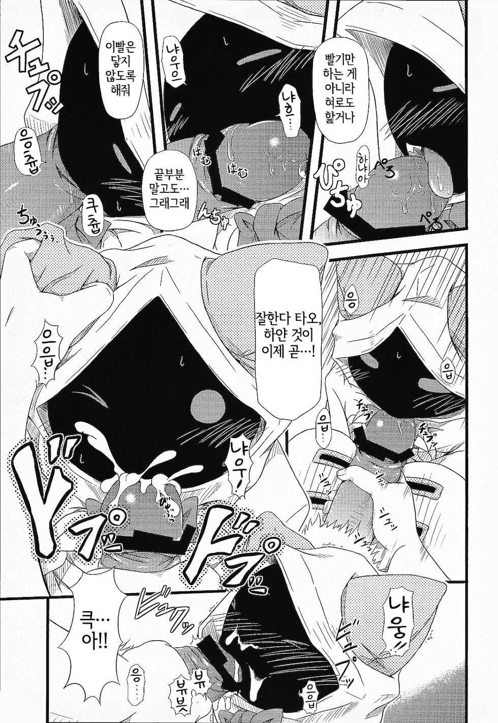 (COMIC1☆5) [Umikaidou (Nankai no Sizimi)] Nikuman Ippai | 고기만두 잔뜩 (BLAZBLUE) [Korean] [LWND] - Page 14