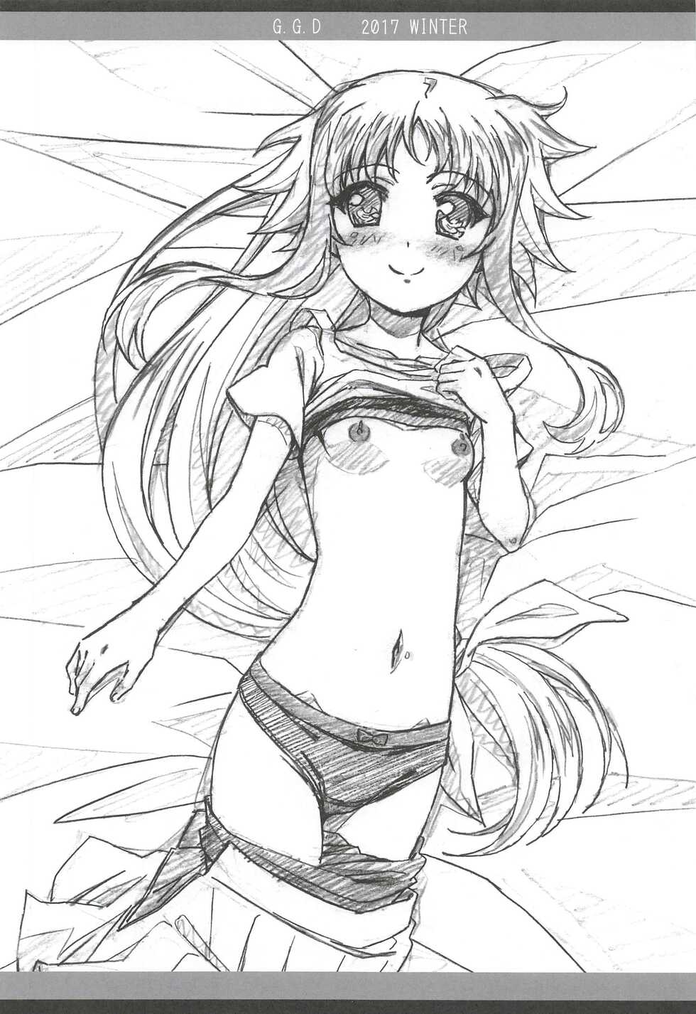 (C93) [Tamagoya (Miyajima Hitoshi)] G.G.D Gallus Gallus Domesticus 2017 WINTER (Mahou Shoujo Lyrical Nanoha) - Page 5