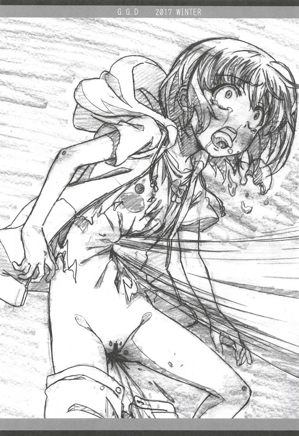 (C93) [Tamagoya (Miyajima Hitoshi)] G.G.D Gallus Gallus Domesticus 2017 WINTER (Mahou Shoujo Lyrical Nanoha) - Page 13