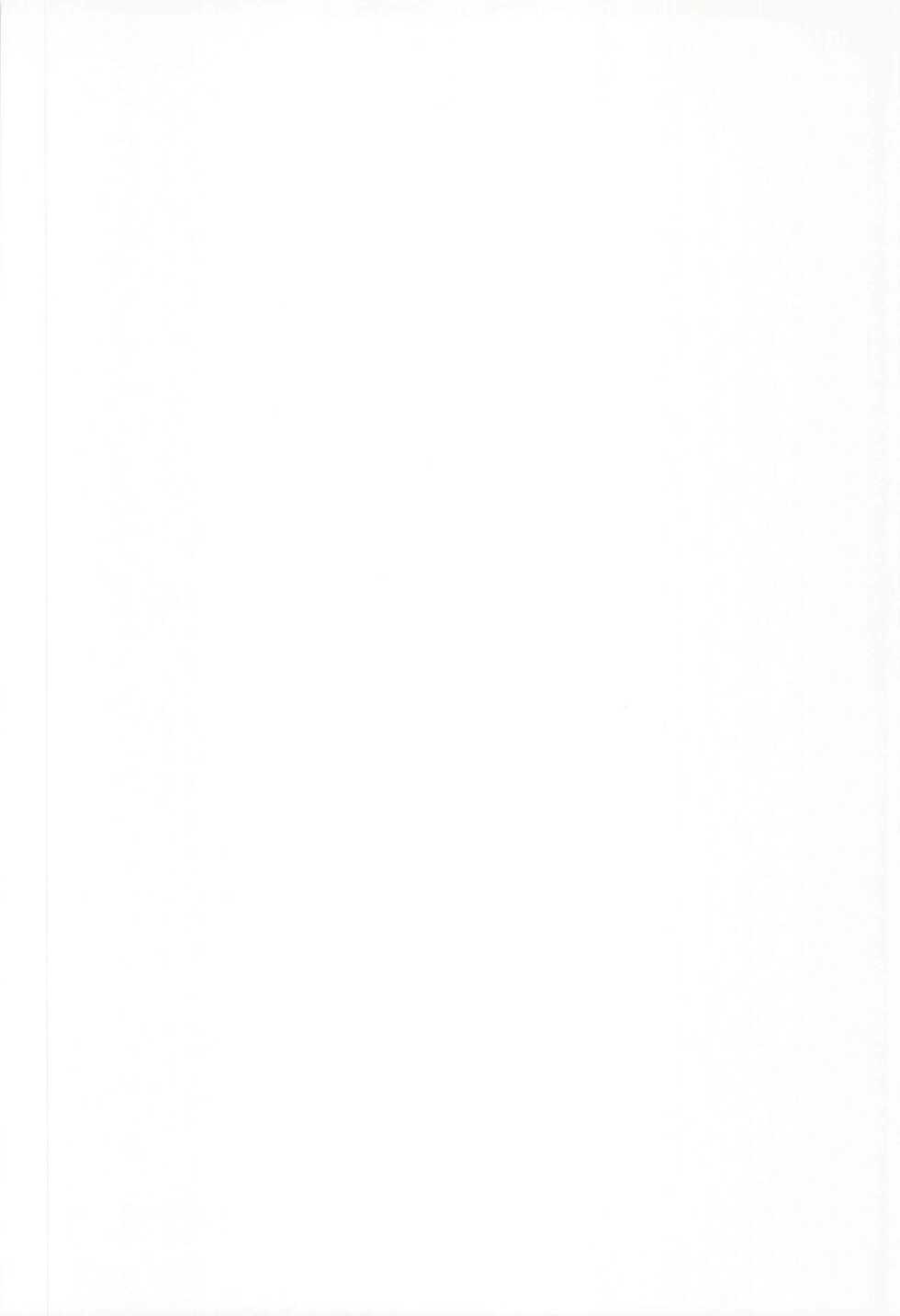 (C93) [Tamagoya (Miyajima Hitoshi)] G.G.D Gallus Gallus Domesticus 2017 WINTER (Mahou Shoujo Lyrical Nanoha) - Page 25