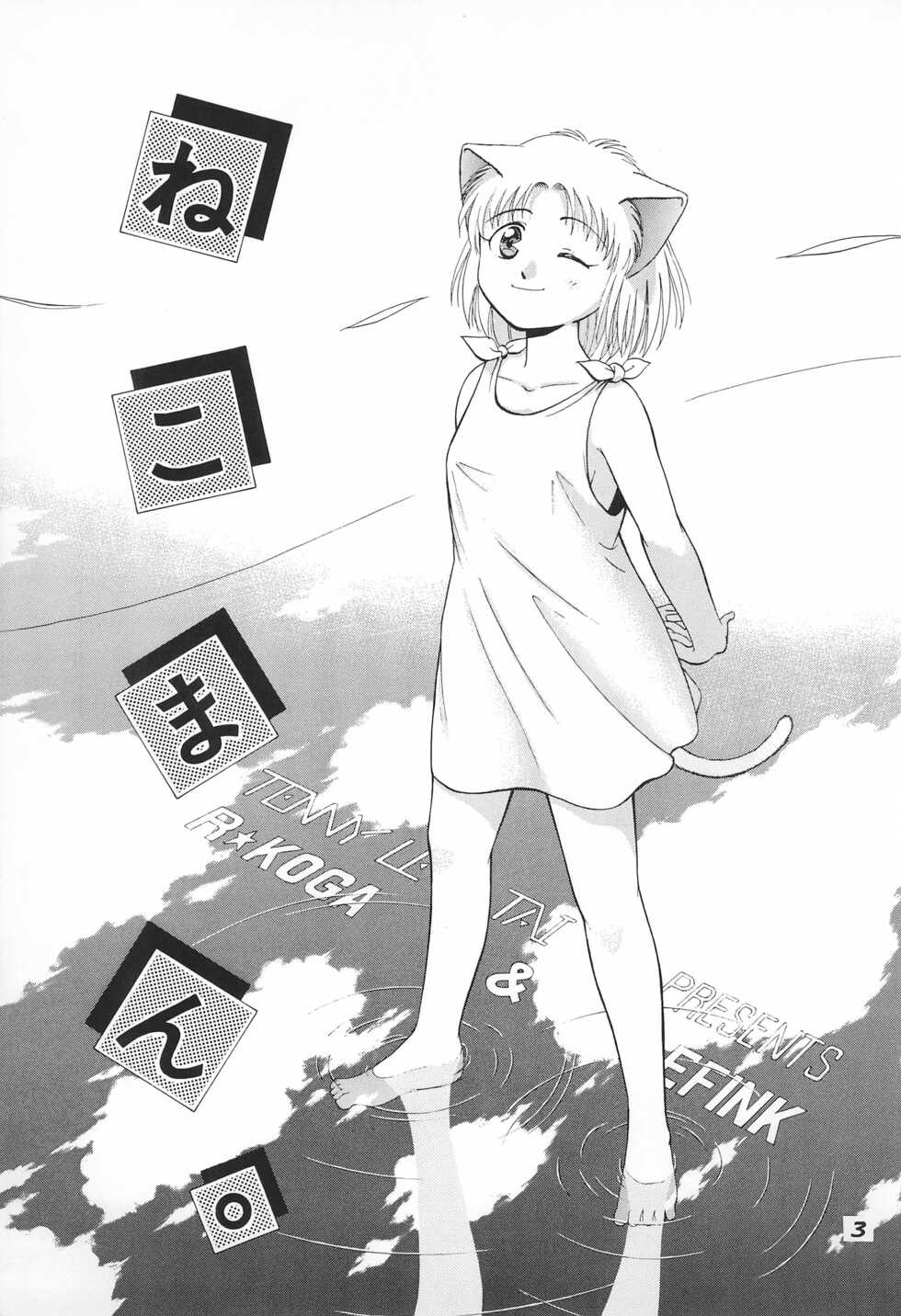 (C55) [Tenny Le Tai (R-Koga)] Nekoman. - Page 3