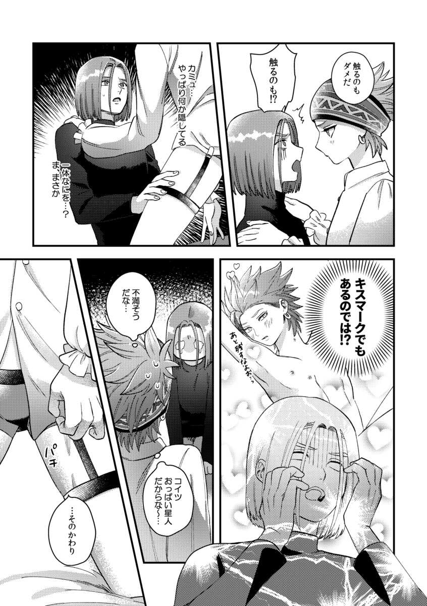 [Oji-san no Saifu (Itoshi)] Yuusha-sama ni Kakushigoto (Dragon Quest XI) [Digital] - Page 19