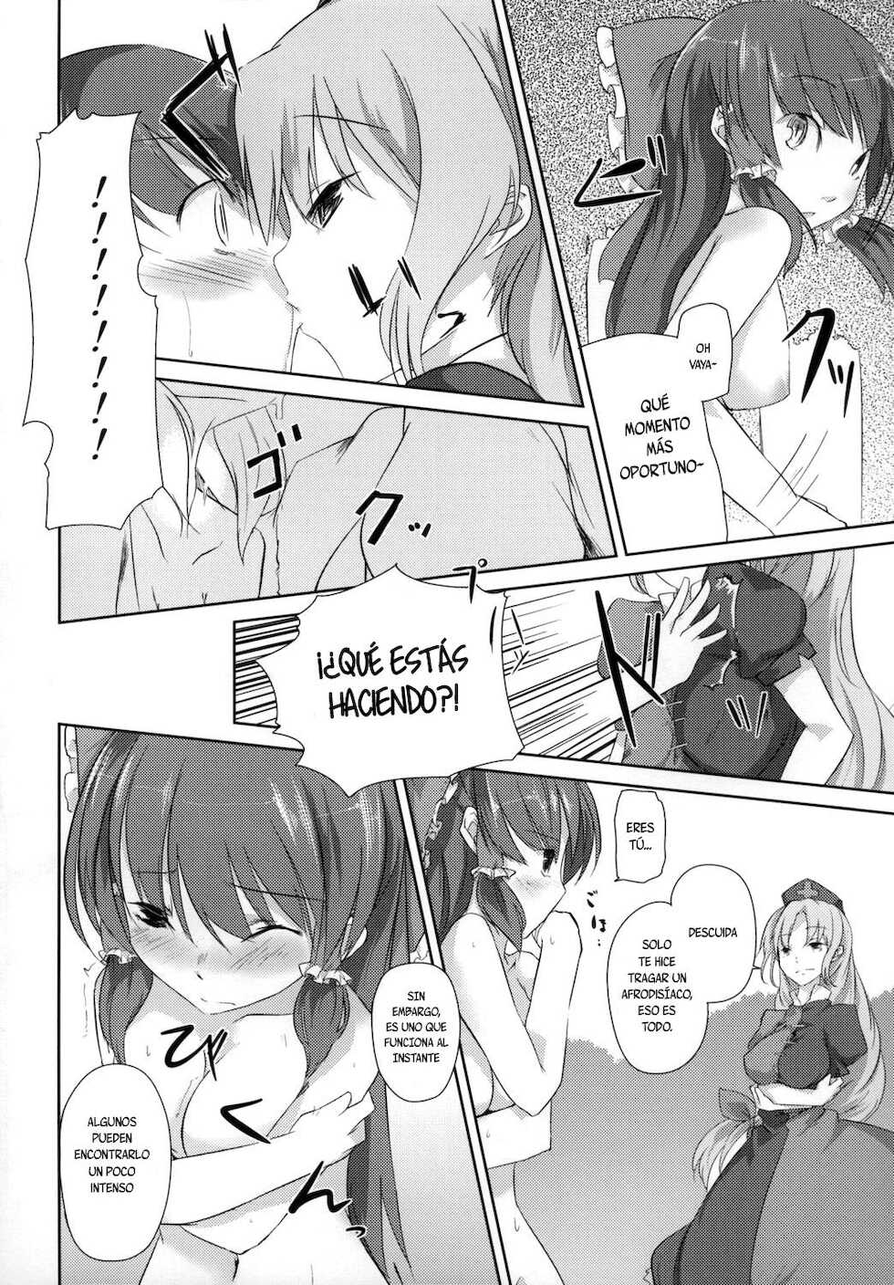 (C73) [Katamichi Kippu (Mikage Sekizai)] Sonna Gensoukyou (Touhou Project) [Spanish] - Page 19