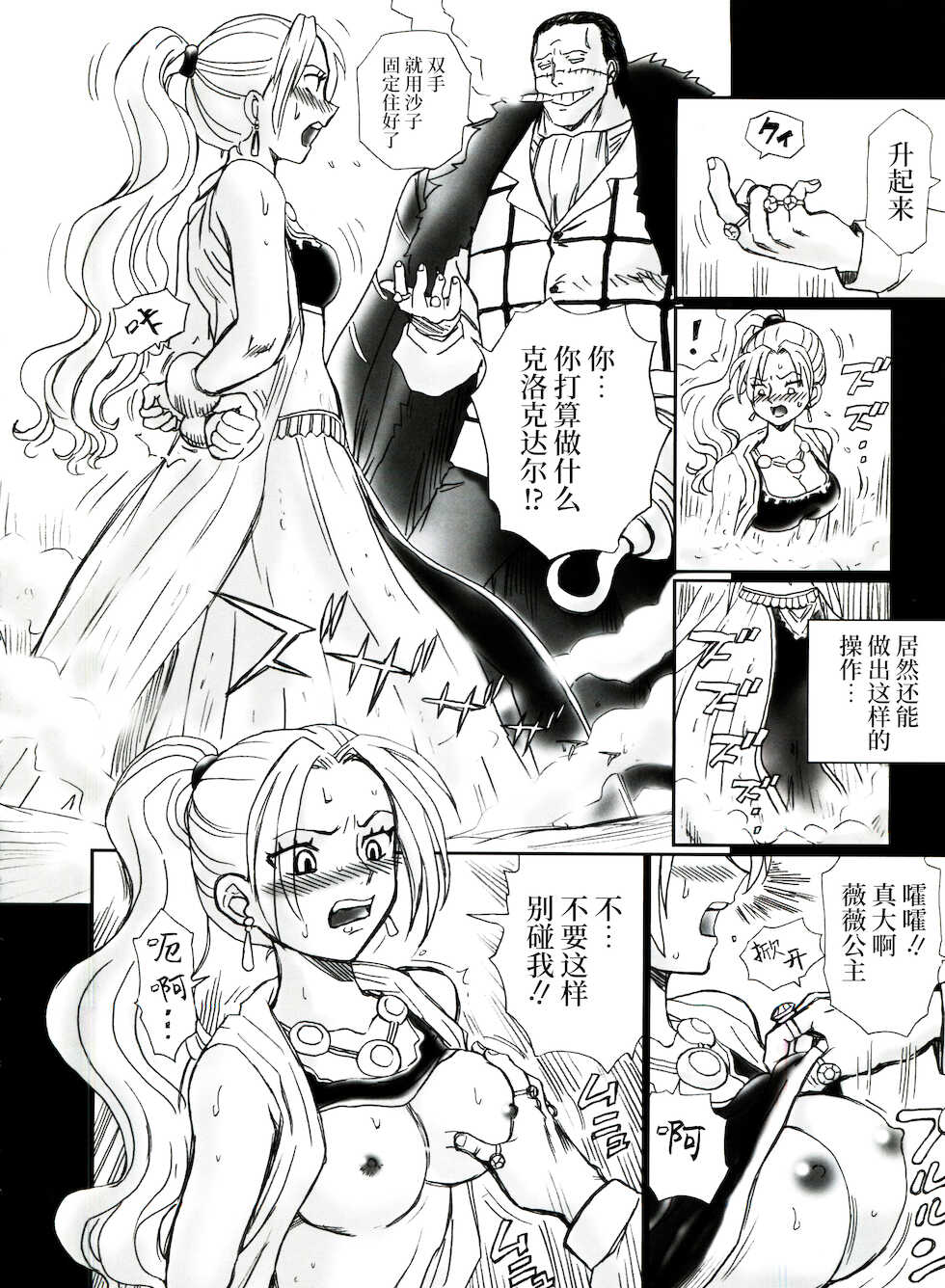 (C73) [Rat Tail (Irie Yamazaki)] Tail-Man Nefertari Vivi Book (One Piece) [Chinese] [牛肝菌汉化] - Page 12