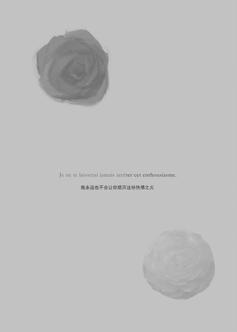 2048565-White Camellia & Red Rose [Chinese] [透明声彩汉化组] - Page 2