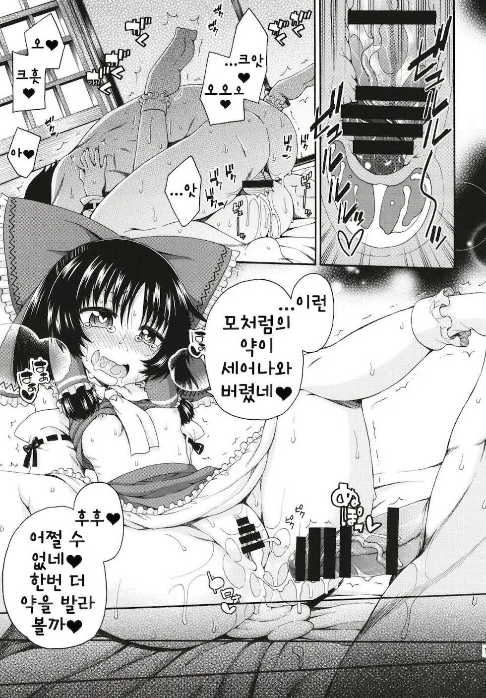 (Reitaisai 15) [Hanya Yashiki (Hanya)] Touhou Meiko ~Reimu Hen~ | 동방미입 ~레이무 편~ (Touhou Project) [Korean] - Page 14