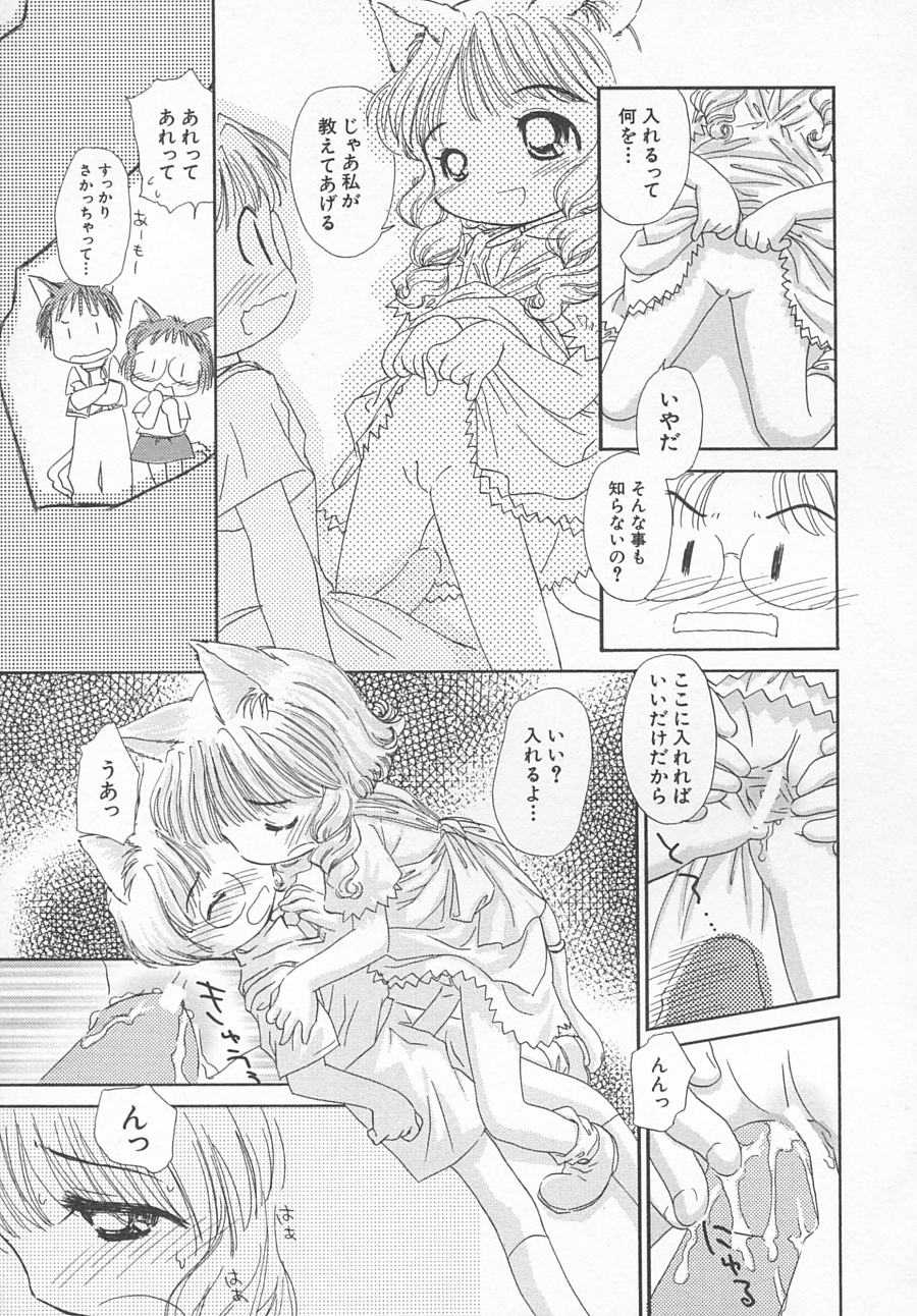 Hin-nyu v11 - Hin-nyu Kyouiku - Page 12