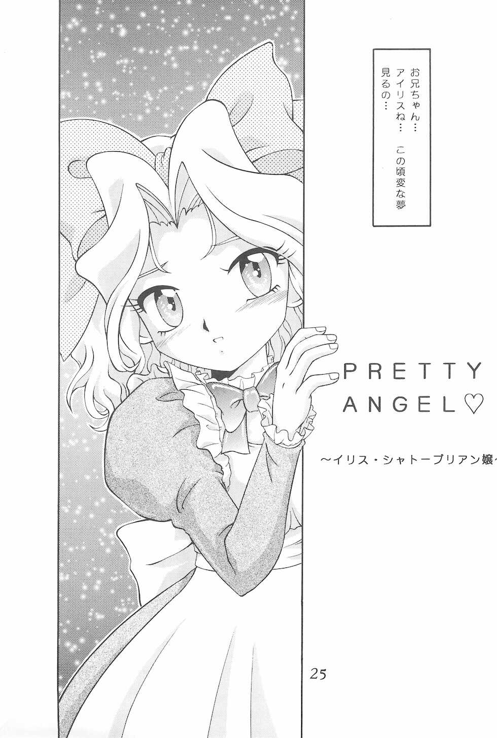 (C60) [Studio Z-Agnam (Azuma Kyouto)] Meika Azumaya Azuma Kyouto Kojinshi Vol.4-6 Sousaihenshuu-bon (Various) - Page 25