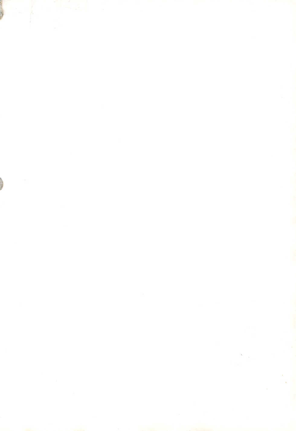 (Reitaisai 6) [Nyaa. to Hidamari (Takamoto Akisa)] Kissa-Chen Orange Sweets (Warai) (Touhou Project) - Page 2