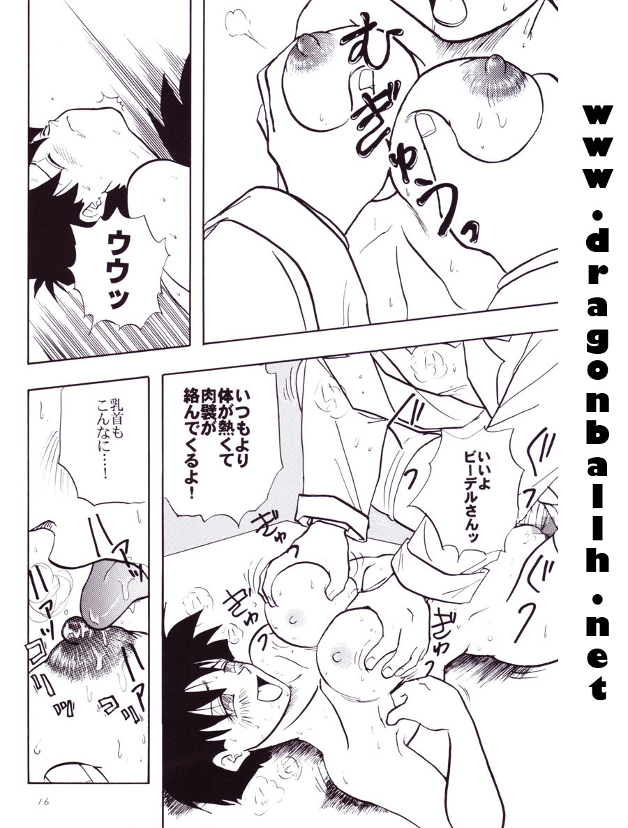 [Shouji Haruzo] Dragon Ball Z – Wakayo - Page 17
