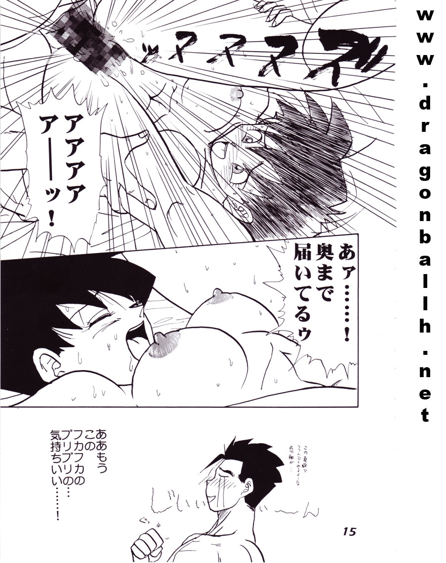 (C52) [Fusuma Goten (Shouji Hariko)] Irohani (Dragonball Z) - Page 15