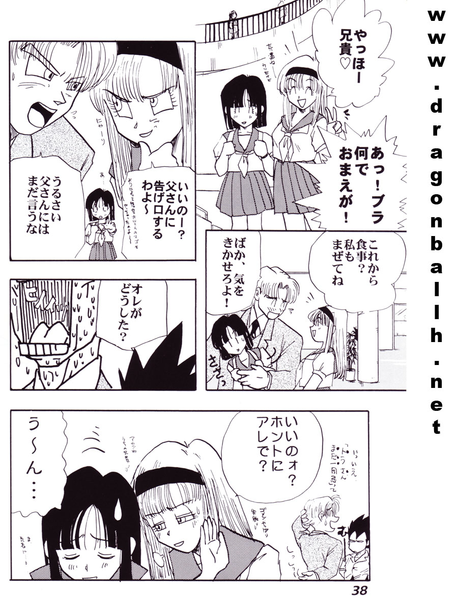 (C52) [Fusuma Goten (Shouji Hariko)] Irohani (Dragonball Z) - Page 38