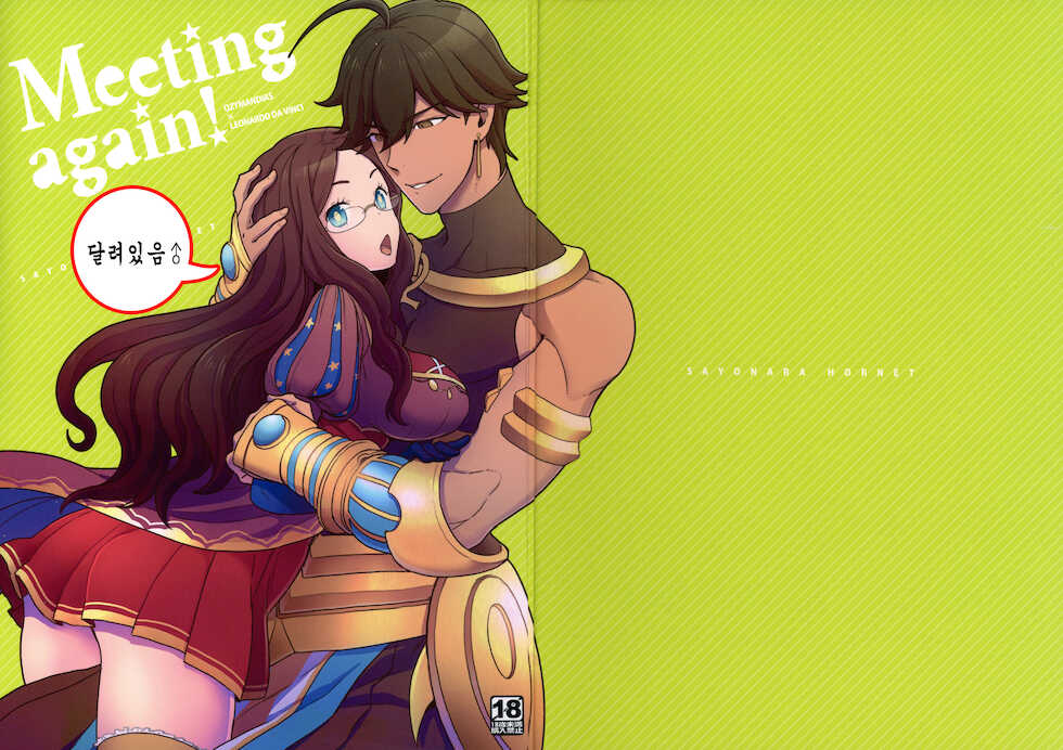 (C92) [Sayonara Hornet (Yoshiragi)] Meeting again! (Fate/Grand Order) - Page 1