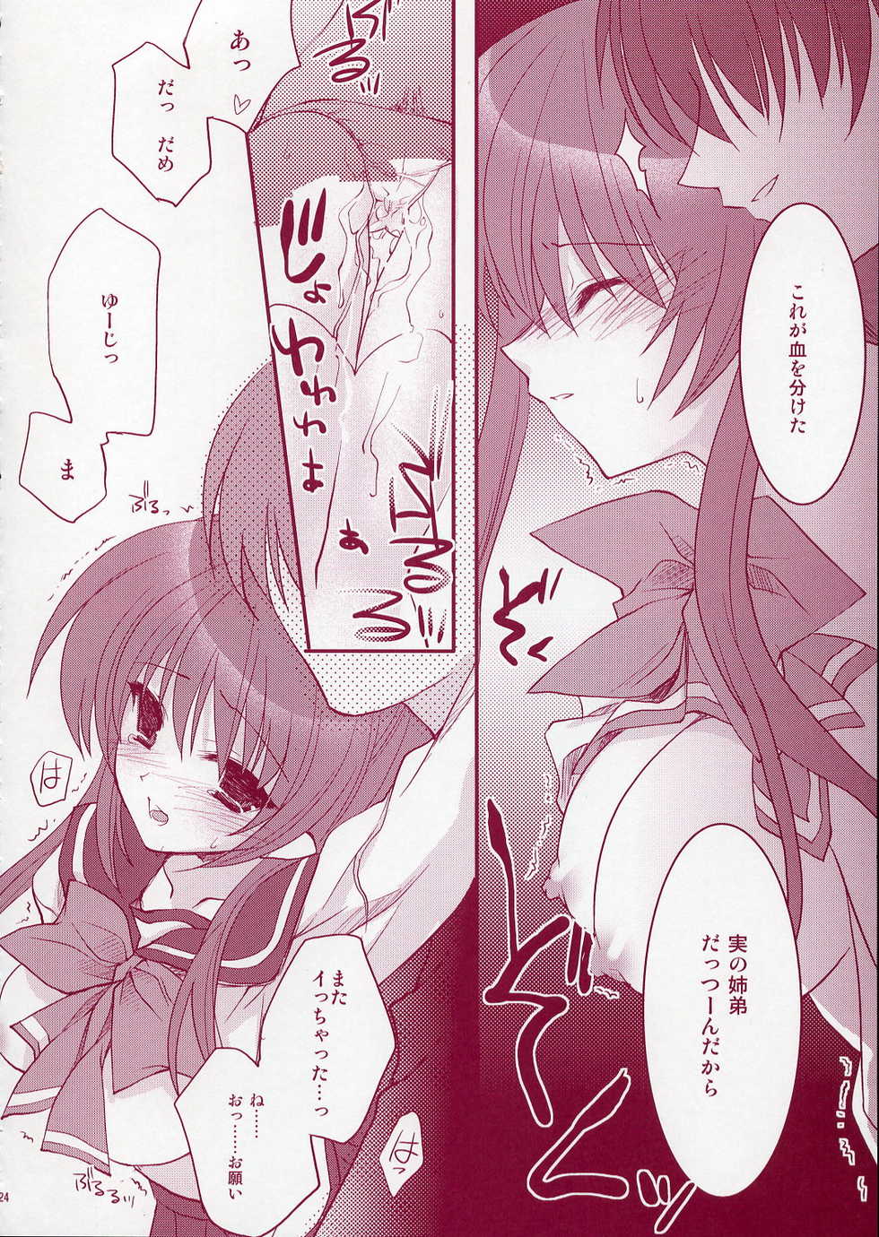 (C68) [ARESTICA (Ariko Youichi)] Jelly Lovers (ToHeart 2) - Page 23