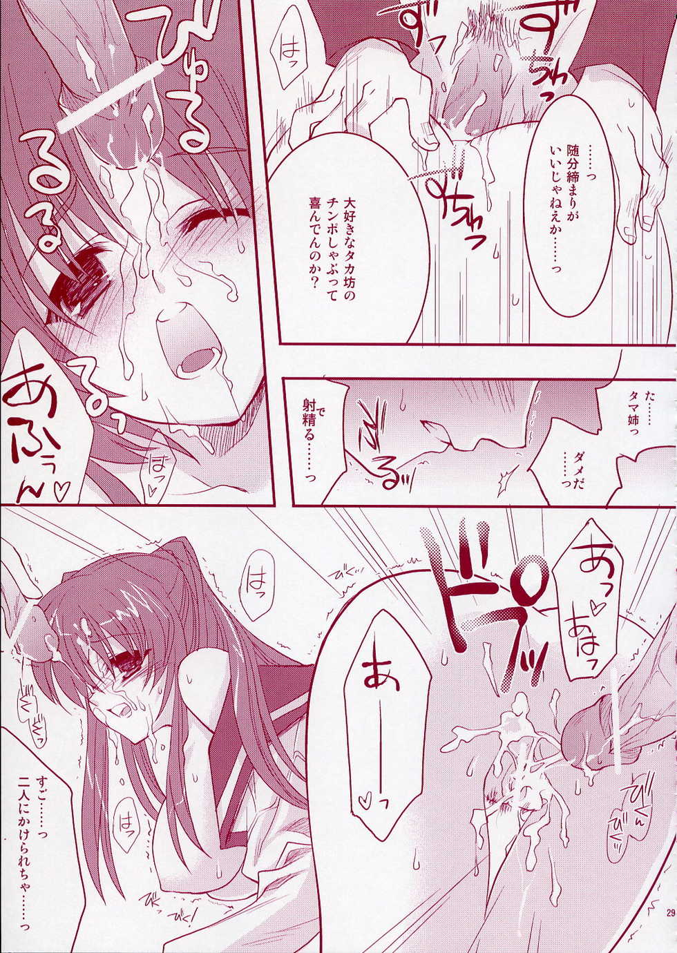 (C68) [ARESTICA (Ariko Youichi)] Jelly Lovers (ToHeart 2) - Page 28