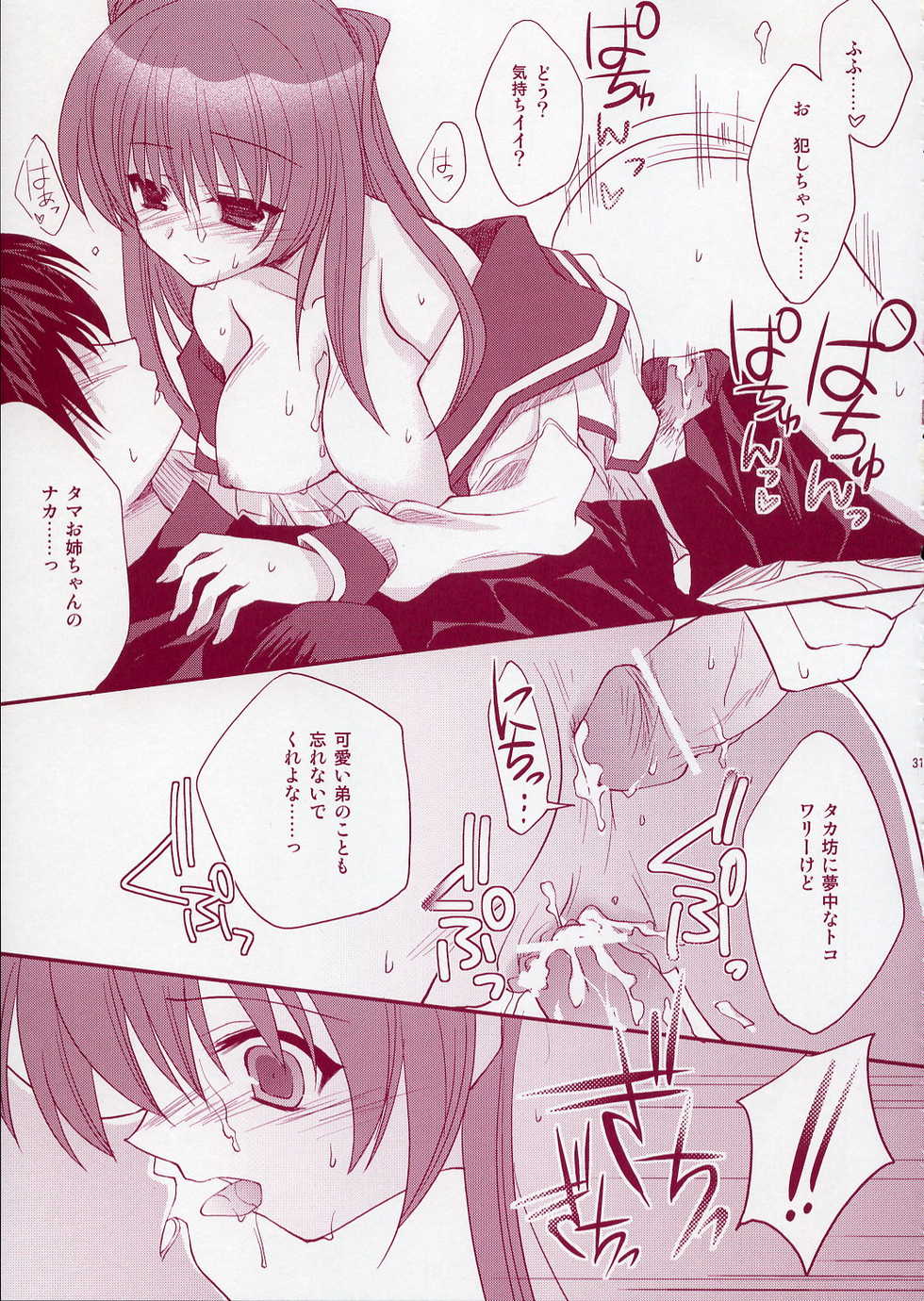 (C68) [ARESTICA (Ariko Youichi)] Jelly Lovers (ToHeart 2) - Page 30