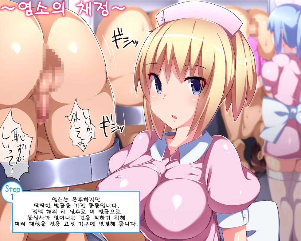 [Atelier Maso (doskoinpo)] Sakusei no Kiso | 착정의 기초 [Korean] - Page 17