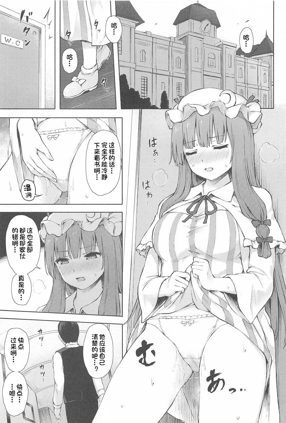 (Shuuki Reitaisai 8) [Tekomenchi (Techi)] Patchouli Knowledge Kaihatsu Kiroku II (Touhou Project) [Chinese] - Page 2