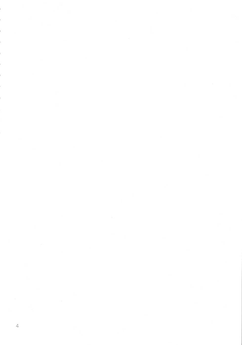 (C91) [Digital Accel Works (INAZUMA)] Mirage Attack! (Macross Delta) [Korean] - Page 4