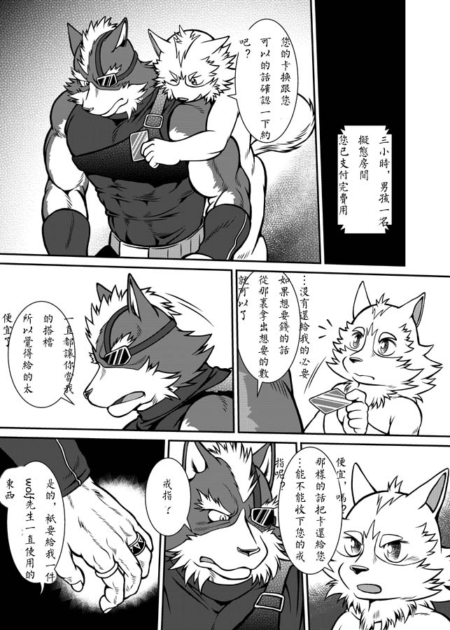 (Juujin Matsuri) [Jamboree! (jin)] Fake of X  (Star Fox)  [Chinese] [汉化] - Page 15