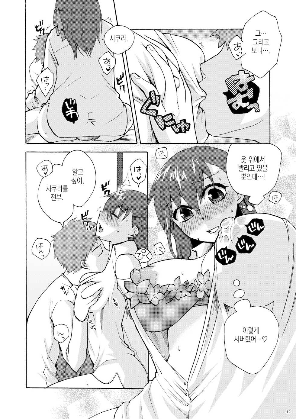 (C77) [TRIP SPIDER (niwacho)] Hitohira | 한 송이 (Fate/stay night) [Korean] [이거맛좀봐] - Page 11