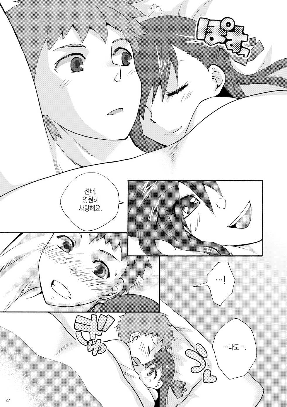 (C77) [TRIP SPIDER (niwacho)] Hitohira | 한 송이 (Fate/stay night) [Korean] [이거맛좀봐] - Page 26
