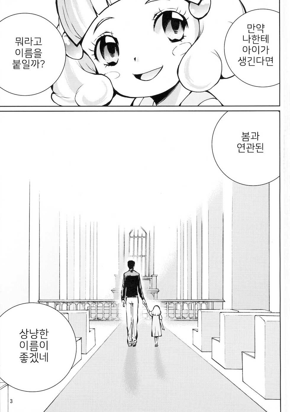 (C84) [MISAKIX MEGAMIX (Misaki Tou)] Birth! Precure (Smile Precure!) [Korean] - Page 3