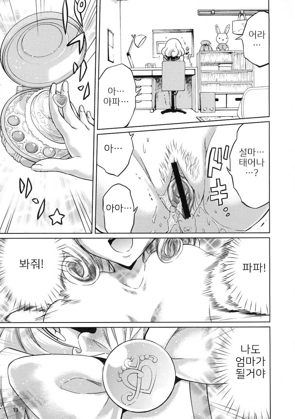 (C84) [MISAKIX MEGAMIX (Misaki Tou)] Birth! Precure (Smile Precure!) [Korean] - Page 13