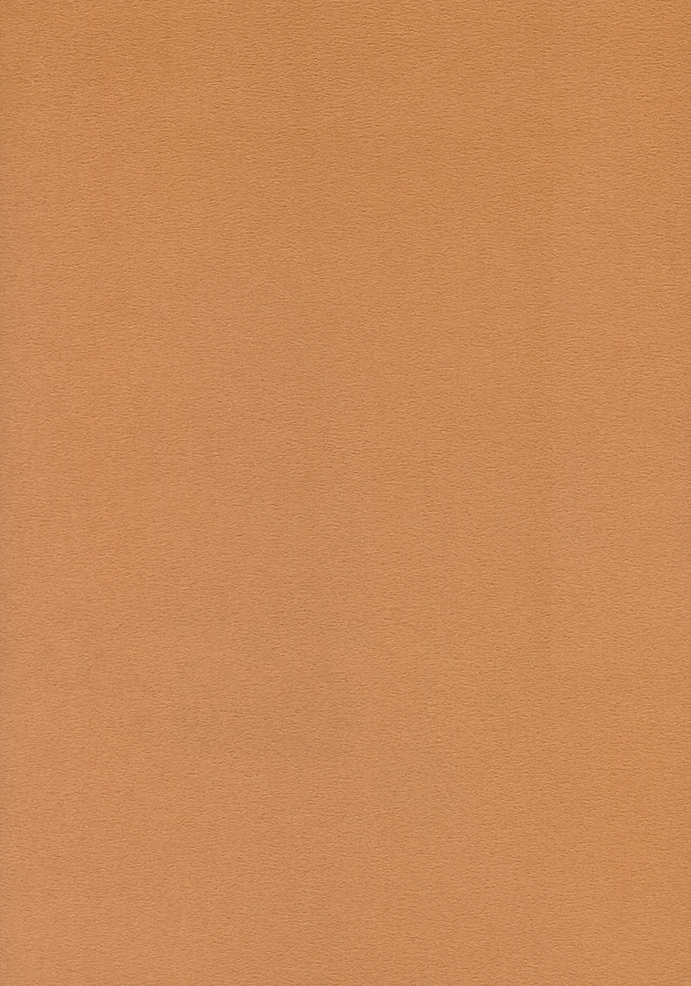 (C70) [MIX-ISM (Inui Sekihiko)] Honey DIP (ToHeart2) - Page 3