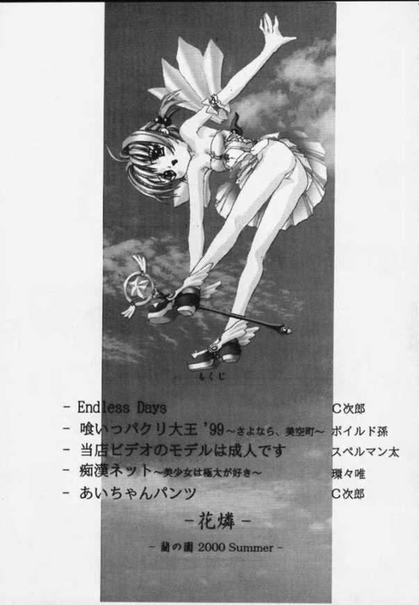 [Ran No Sono] Karin (Card Captor Sakura,Various) - Page 2