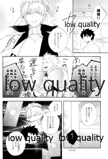 (C97) [ユミルの涙 (陸奥)] Reprint G/E plus (Fate/Grand Order) - Page 26