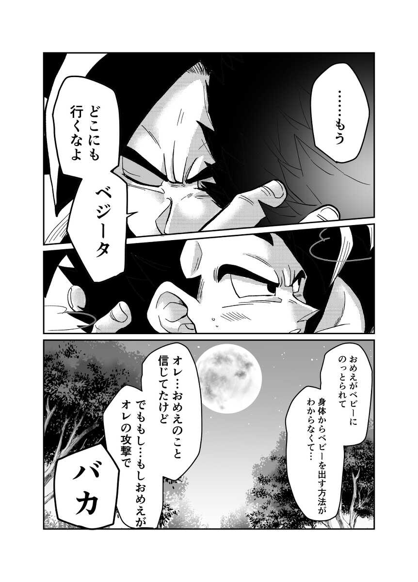 [pannomimi] Re (Dragon Ball) - Page 30