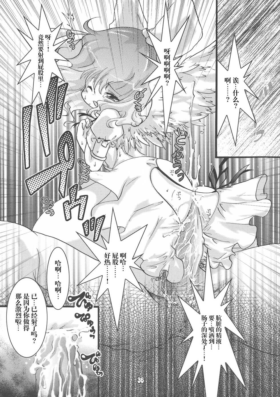(C80) [Strawberry (Ichigo)] Futa Lolikko (Touhou Project) [Chinese] [转尾巴猫汉化] - Page 36