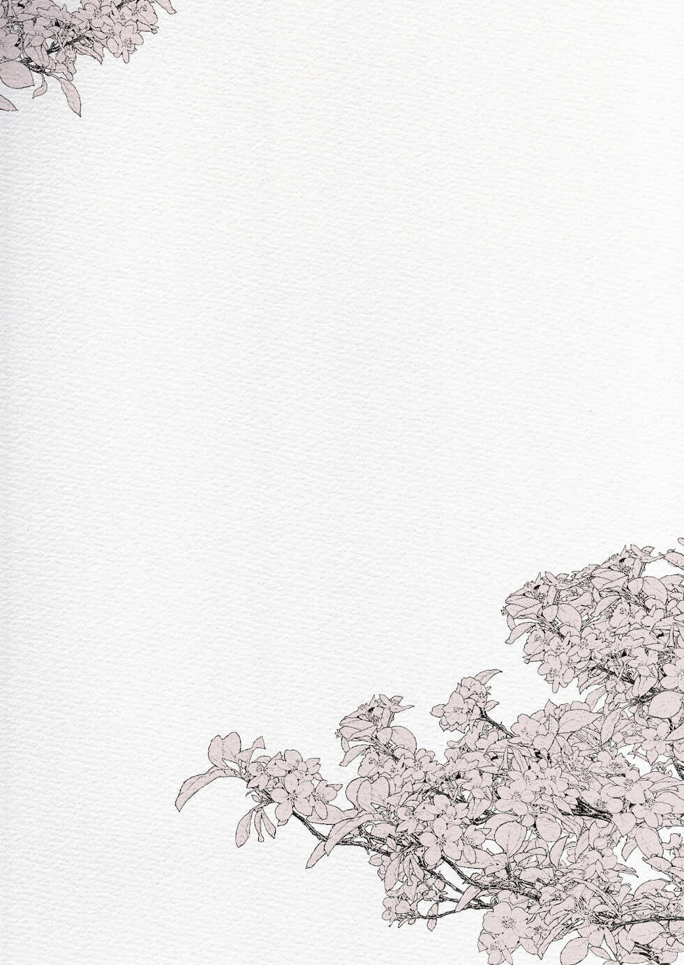 [Aimaitei (Aimaitei Umami)] Futanari Chuushin Skeb E Matome - Illustration of FUTANARI-Skeb.e (Various) [Digital] - Page 2
