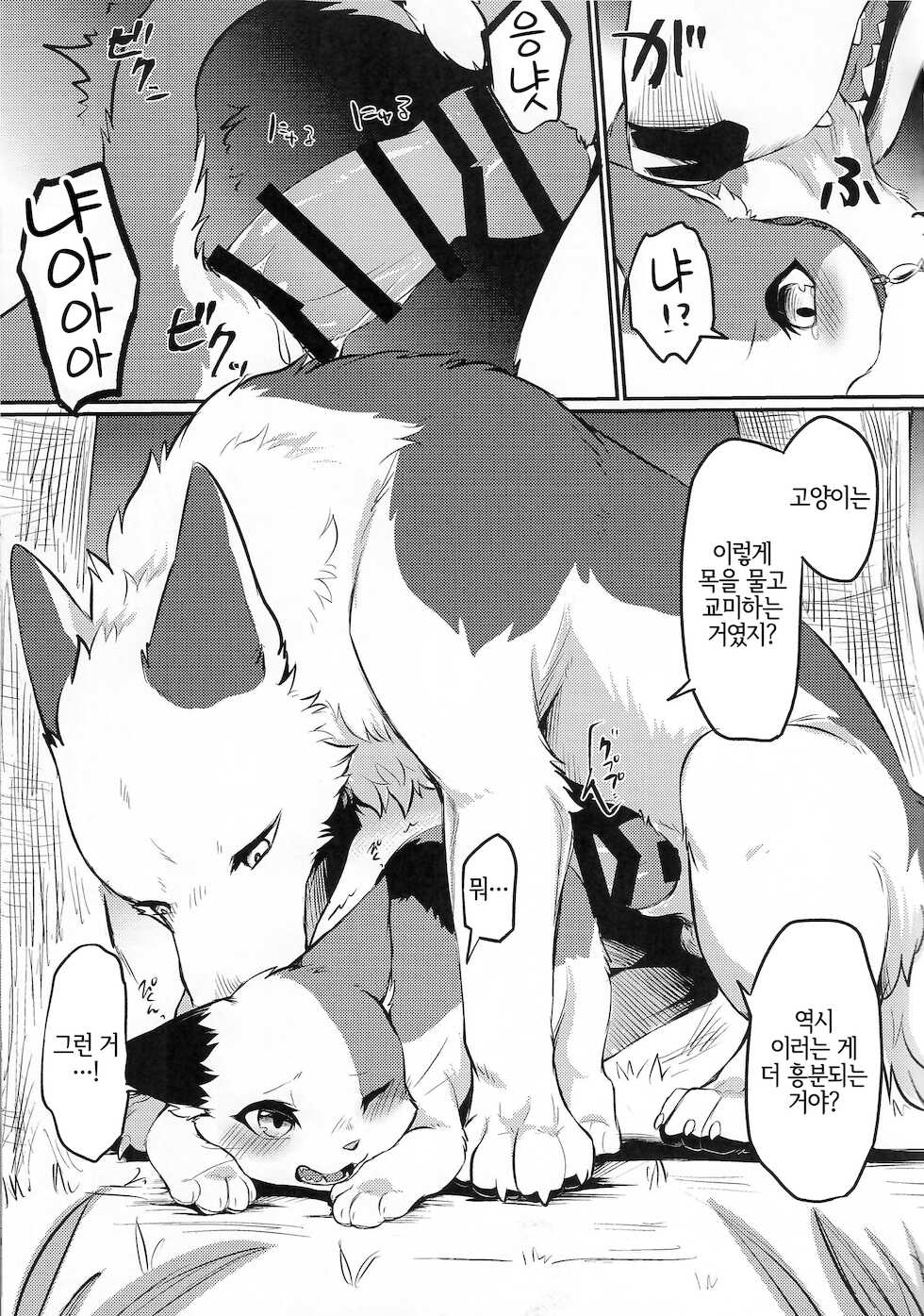 (Kemoket 10) [Kaiten ParaDOGs (Minaga Tsukune)] Sukimono Doushi [Korean] [LWND] - Page 9