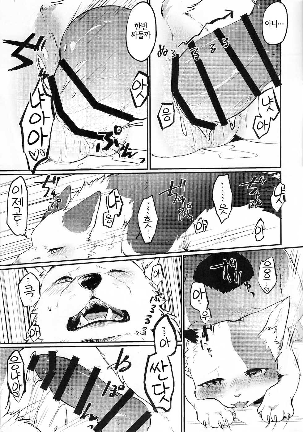 (Kemoket 10) [Kaiten ParaDOGs (Minaga Tsukune)] Sukimono Doushi [Korean] [LWND] - Page 11