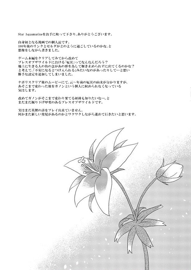 [MYLAB (Shiroa Urang)] Star Aquamarine (The Legend of Zelda) [Spanish] [Digital] - Page 36