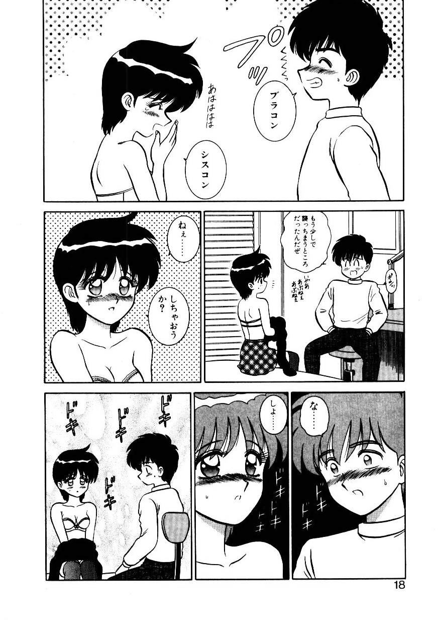 [Shinkuukan] Nandaka Complex - Page 19