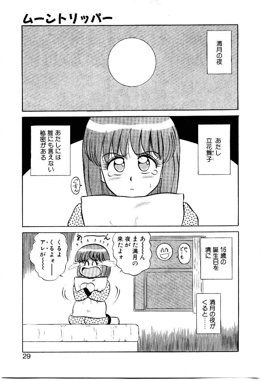[Shinkuukan] Nandaka Complex - Page 30