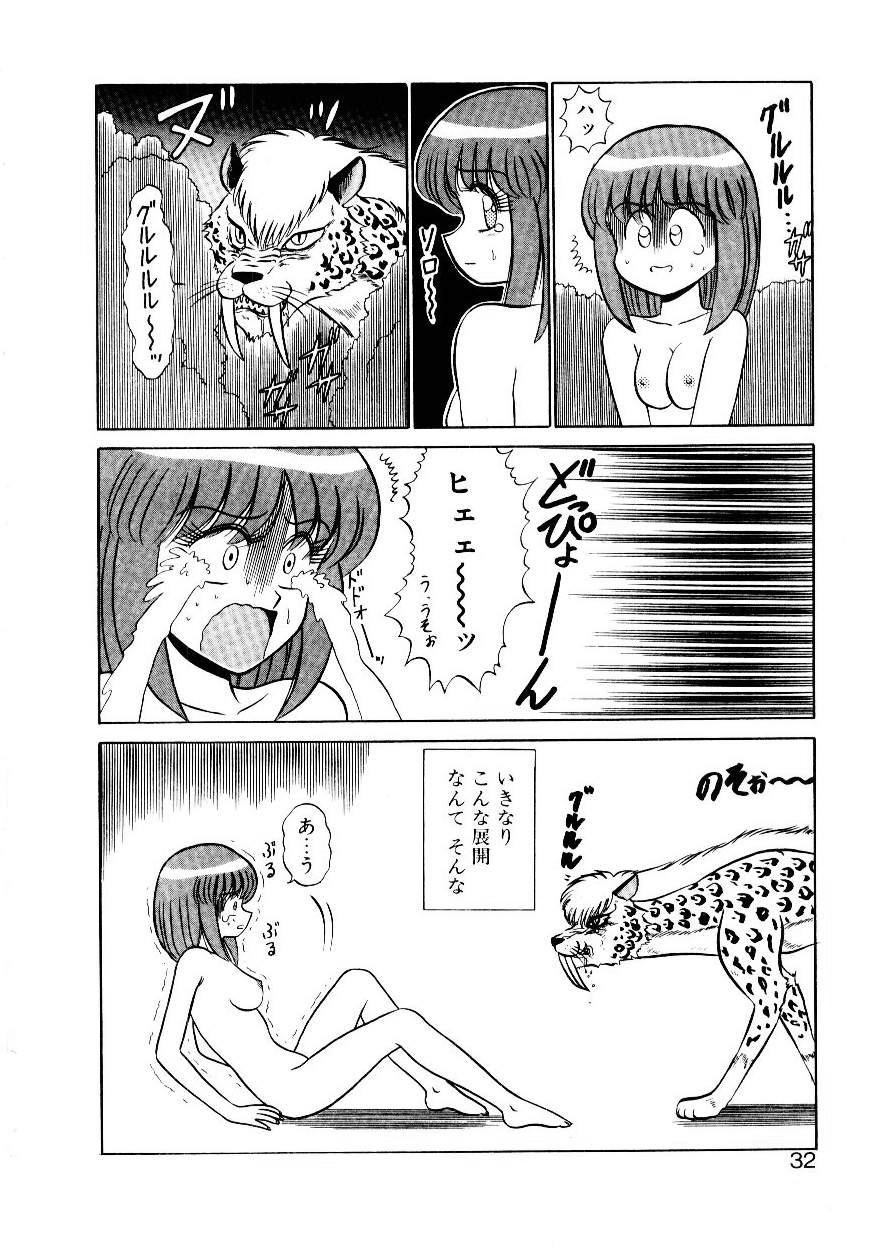 [Shinkuukan] Nandaka Complex - Page 33