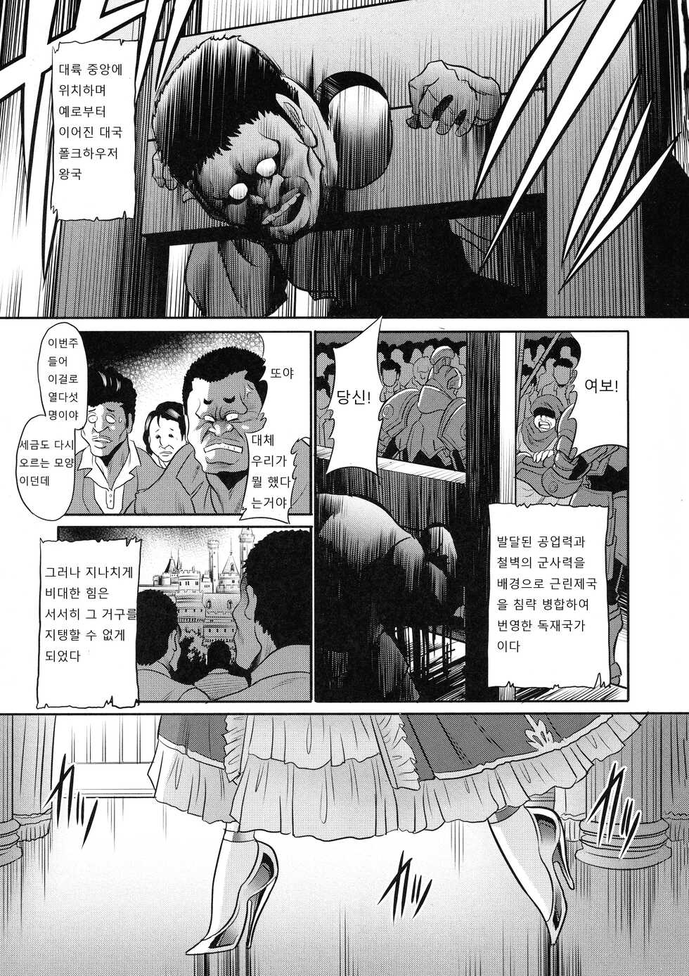 (C91) [Circle Taihei-Tengoku (Horikawa Gorou)] Ochibure Hime Joukan | 타락한 공주 전편 [Korean] - Page 7