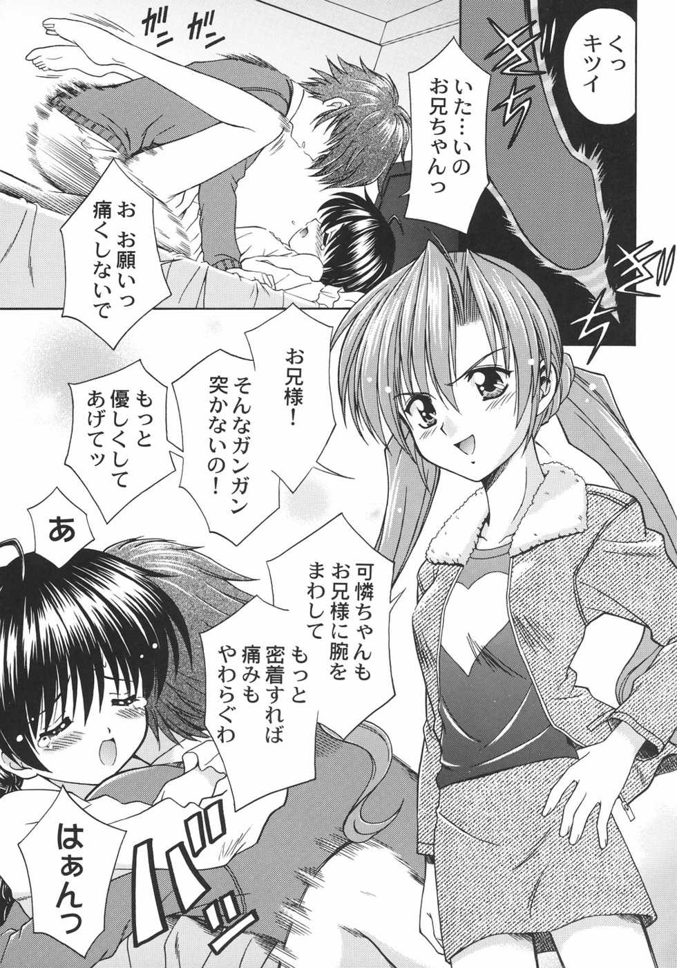 (C64) [STUDIO RUNAWAY WOLF (Nakajima Akihiko)] TaBoO ～ Kinki ～ (Sister Princess) - Page 20