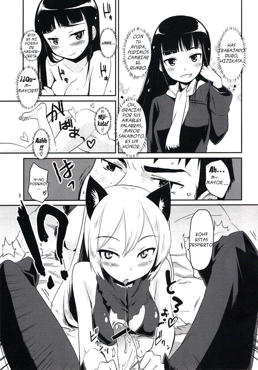 (Mimiket 25) [Peθ (Mozu)] WINTER AFFAIR (Strike Witches)  [Spanish] [WILLIAM & BETA TRANSLATIONS] - Page 3